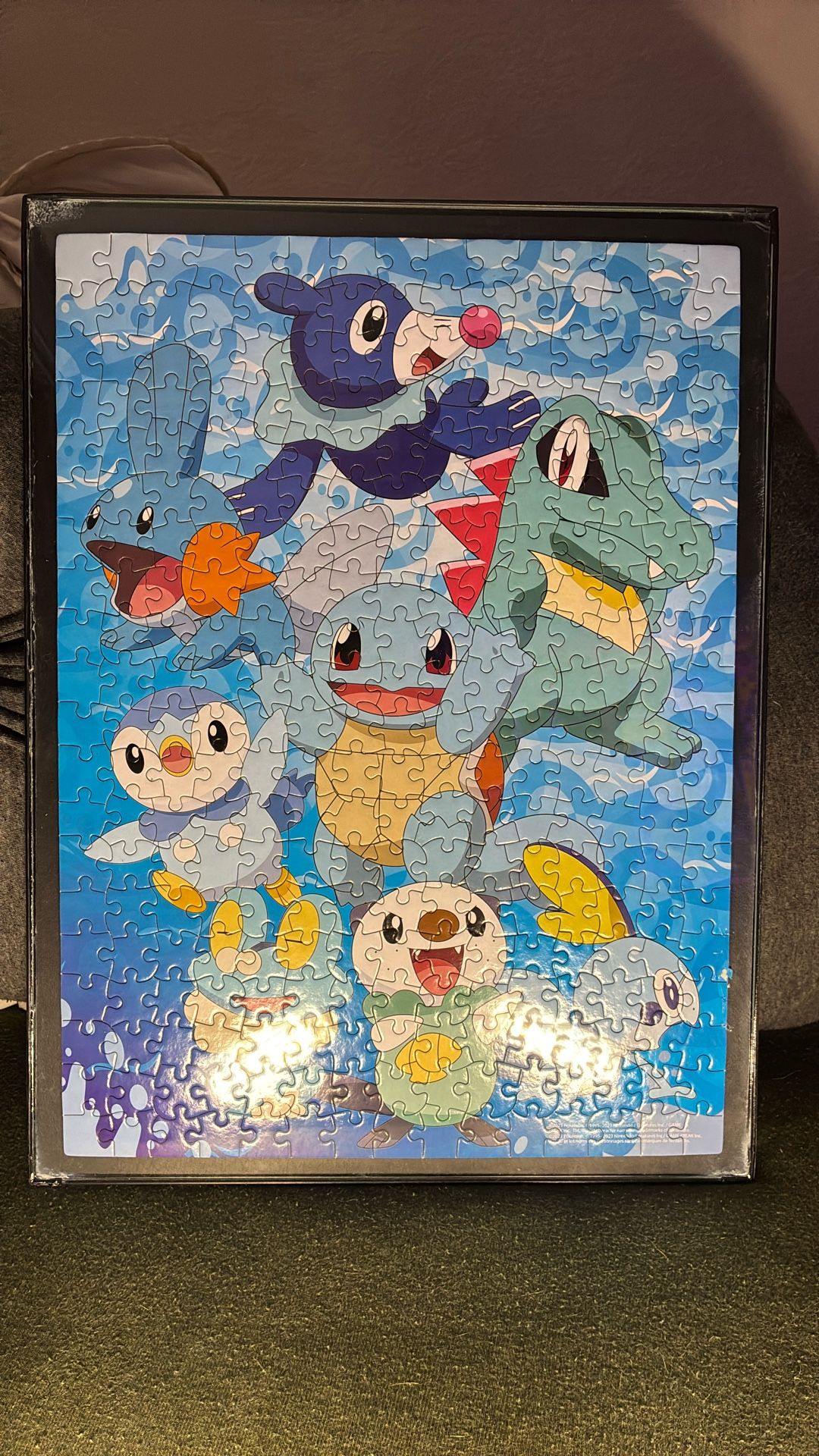 Pokémon Puzzle Frame Water -Type (12in x 16in) 