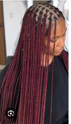 Box Braid And Sénégalese Twist