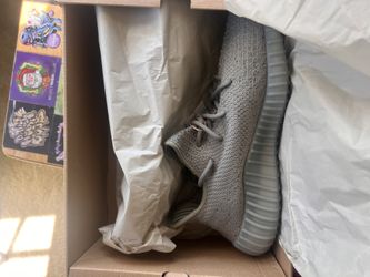 Yeezys 350 10