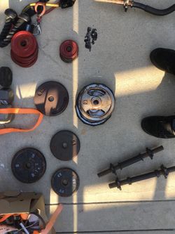 30lbs in weights standard 1” size