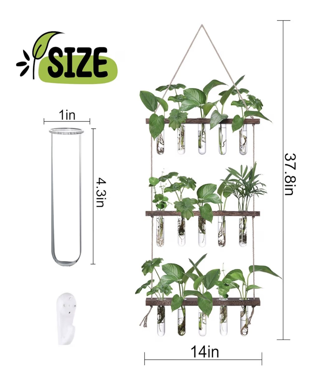 Hanging Plant Propagation Station