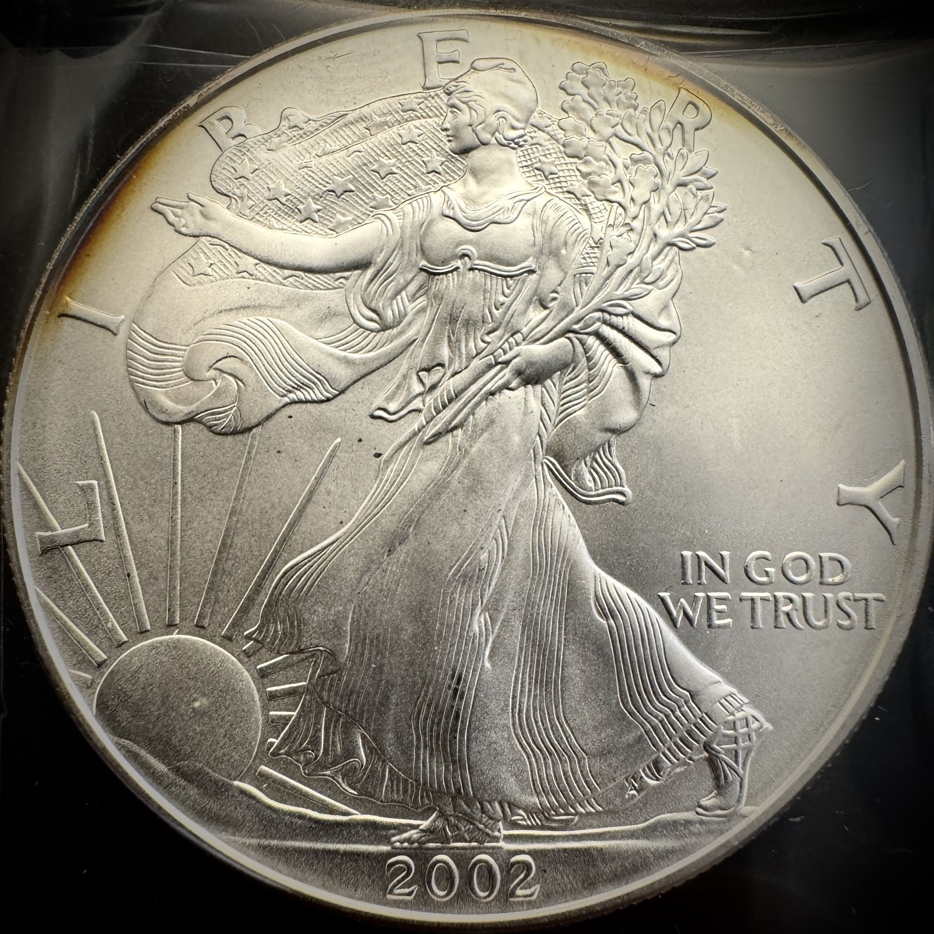 2002 Walking Liberty Silver Eagle Bullion .999 Fine Silver Solid