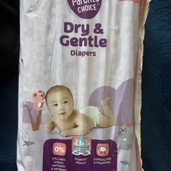 Parent's Choice Dry & Gentle Diapers Size 2