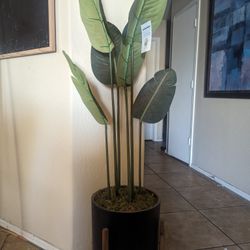 Fake Plant