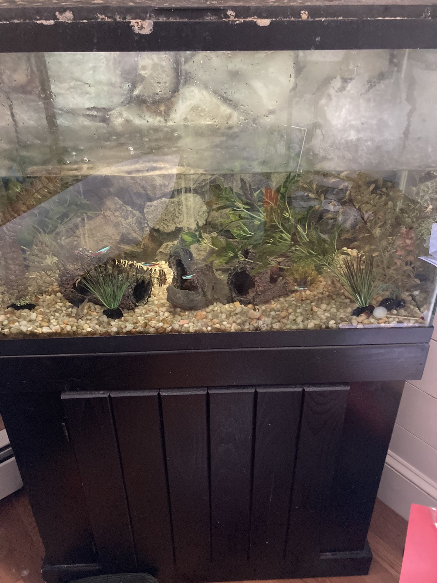 Fish Tank 30 Gallon With Stand