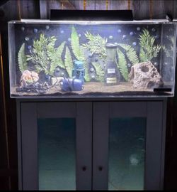 AQUARIUM ACRYLIC PLANTED COMPLETE