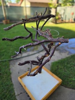 Parrot Tree Stand