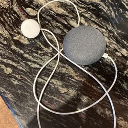 Google Home Mini