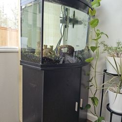 Fish Tank with Accessories, Tools, And Food