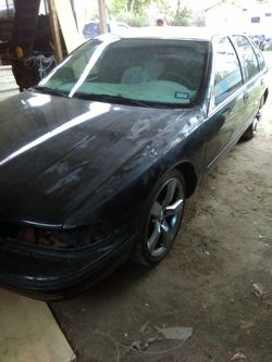 Body work auto body paint