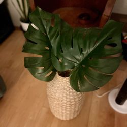 Monsterra Leaves with Straw Basket