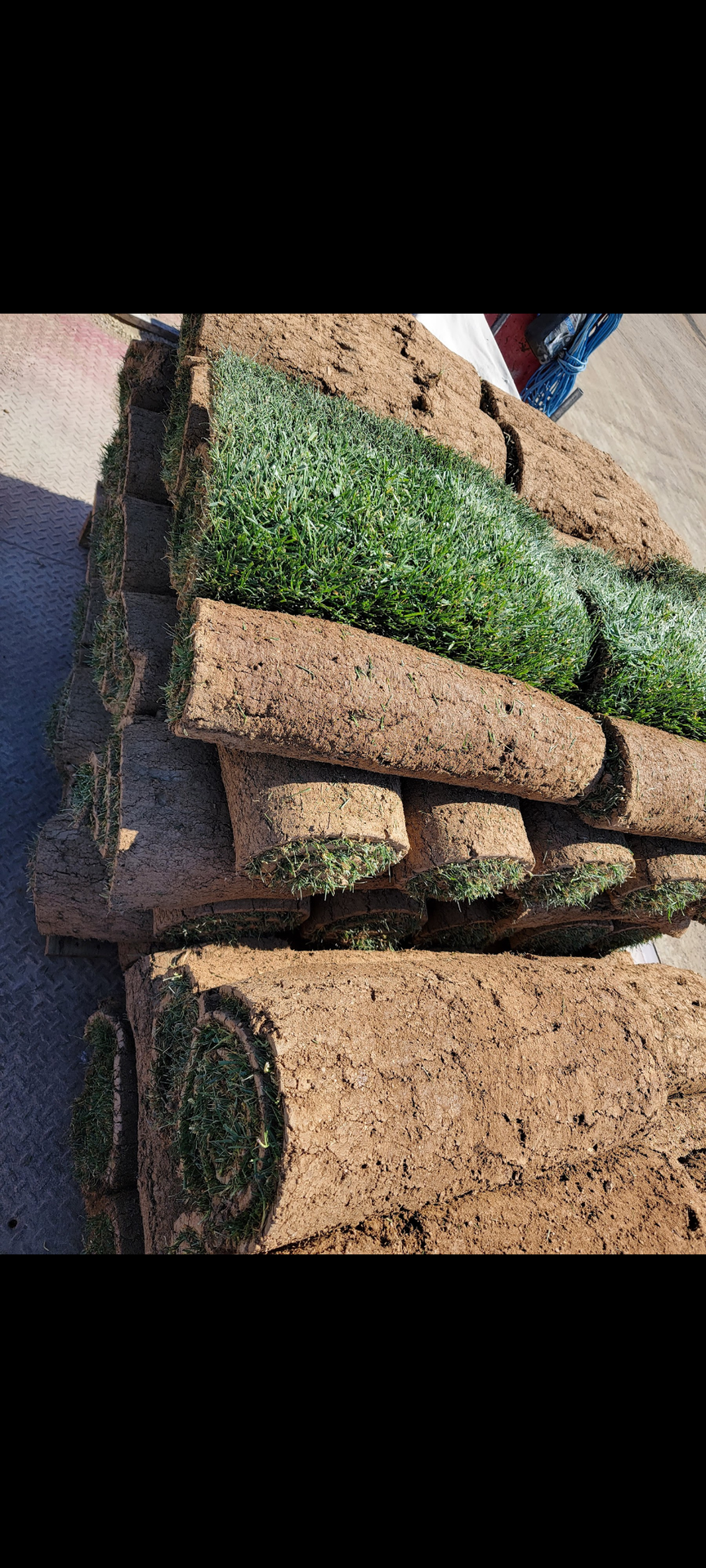 Tall fescue sod per pallet