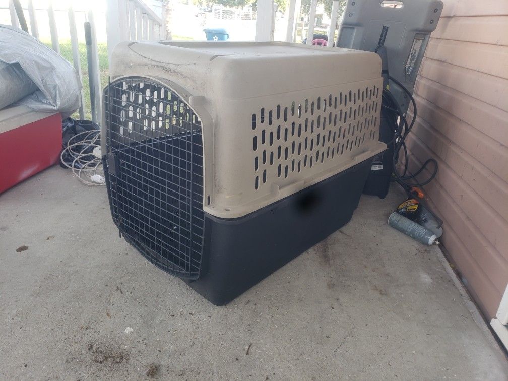 Dog Kennel 