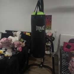 Boxing Bag 