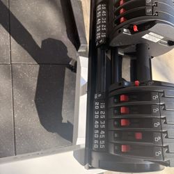 Rep Fitness Dumbbells Quick Draws 