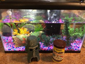 New And Used Fish Tank Decorations For Sale In Louisville Ky