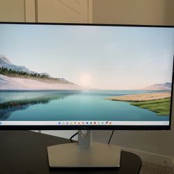Dual Dell 24” Computer Monitors 