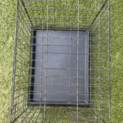 Vibrant Life 24″ Wire Dog Crate — With Divider & Tray