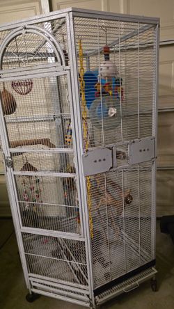 Bird Cage