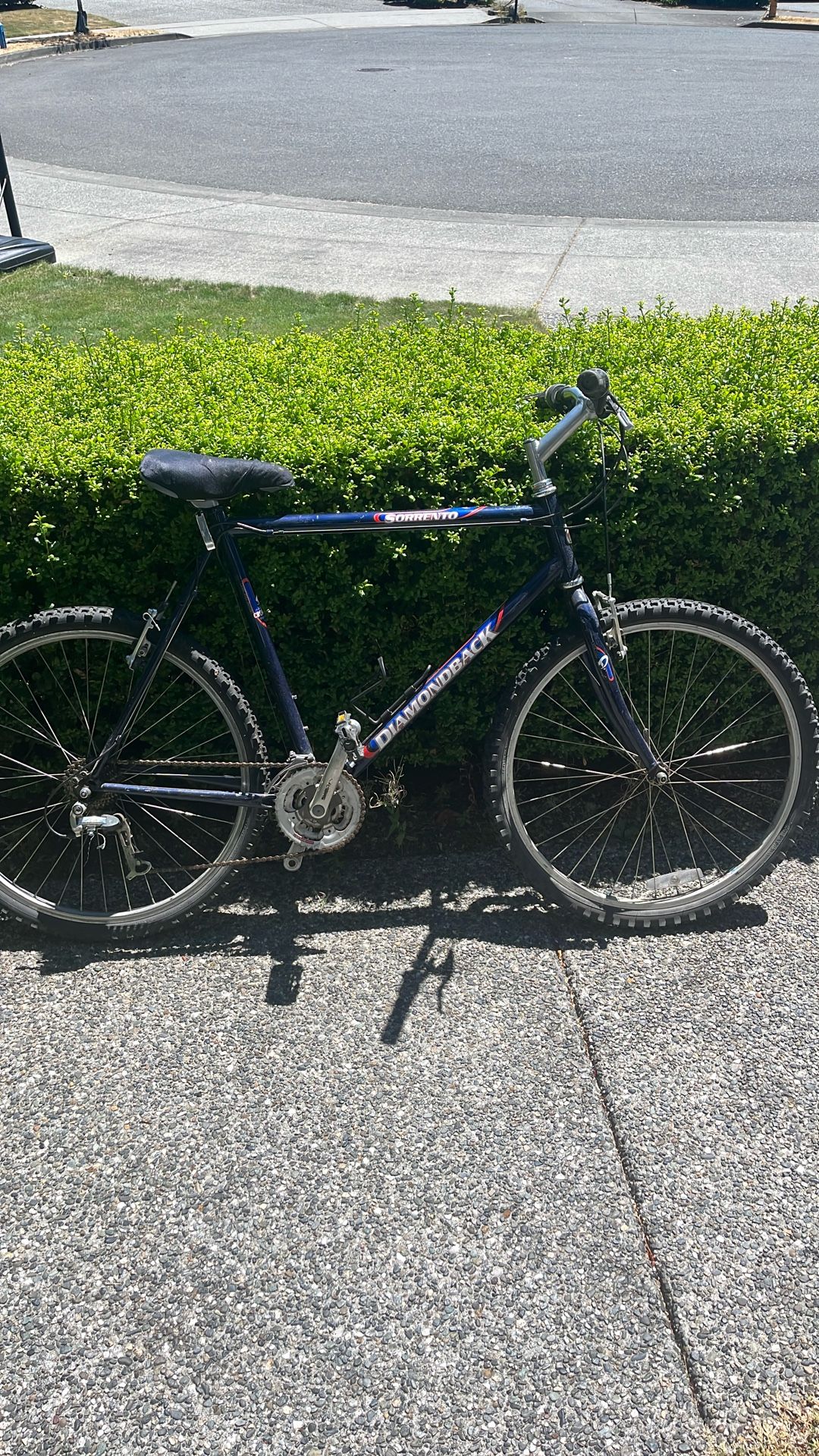 Dimondback Adult Bike