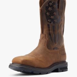 Ariat mens Sierra Shock Shield Patriot Steel Toe Work Boot (259) Size 11.5 Newc