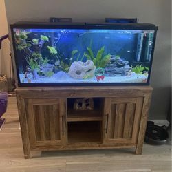 55 Gallon Fish Tank 