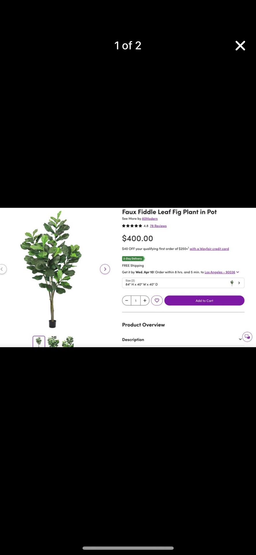 All modern Fake fig Leaf Plant With Planter