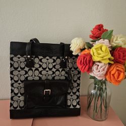 Coach Charlie Signature Tote Bag