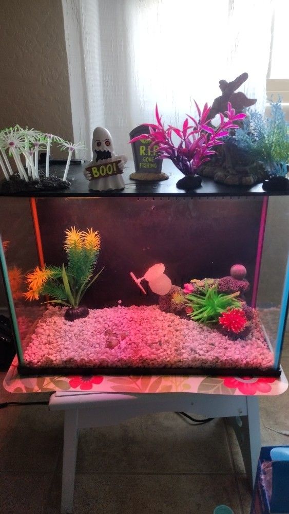 Top Fin® Custom Colorflow™ Aquarium with 7 Color-Changing LEDs