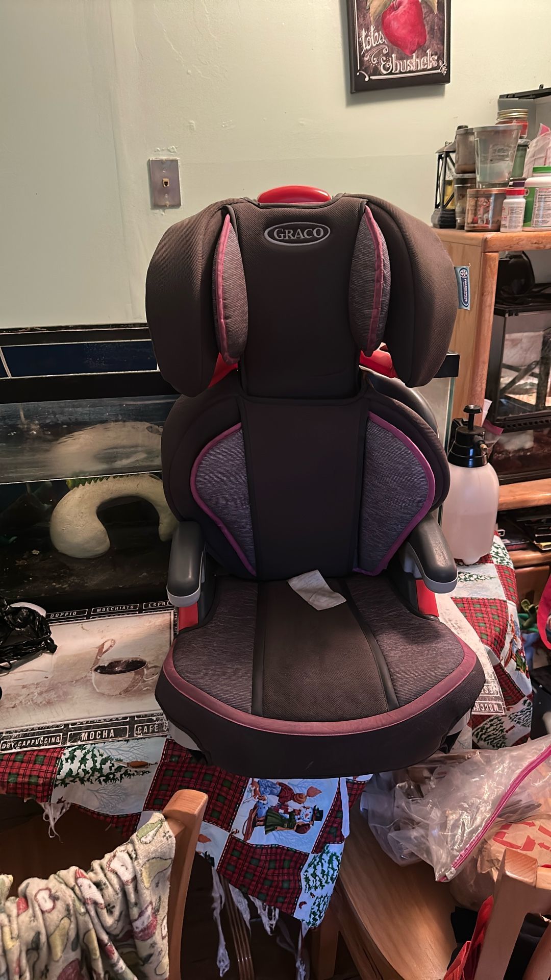 Graco Girl Car seat 