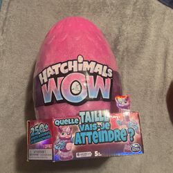 Hatchimals Wow!! New New New Never Used!! Factory Sealed! ⭐️⭐️⭐️⭐️⭐️