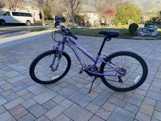 Specialized hotrock best sale 24 purple