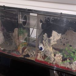 100 Gal Custom Fish Tank With Circ Pump. 