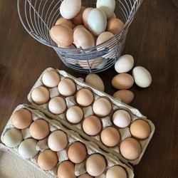 Fresh Organic Eggs