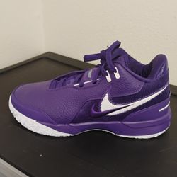 Nike LeBron NXXT Gen PROMO Team Basketball Purple 