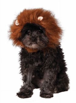 Rubies Pet Shop Boutique Halloween Dog Hat - Lion Size S/M