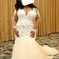 Step Into Elegance On Your  Wedding Day!