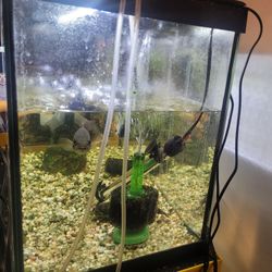 20 Gallon For Sale Colombian Pike