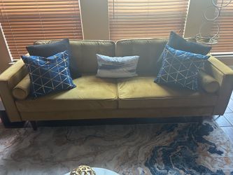 Gold Contemporary Couches