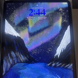 Apple iPad Pro 256 Gig 5th Generation  With Accessories 