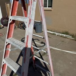 Fiber Glass Ladder