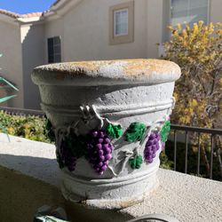 Plant Pot