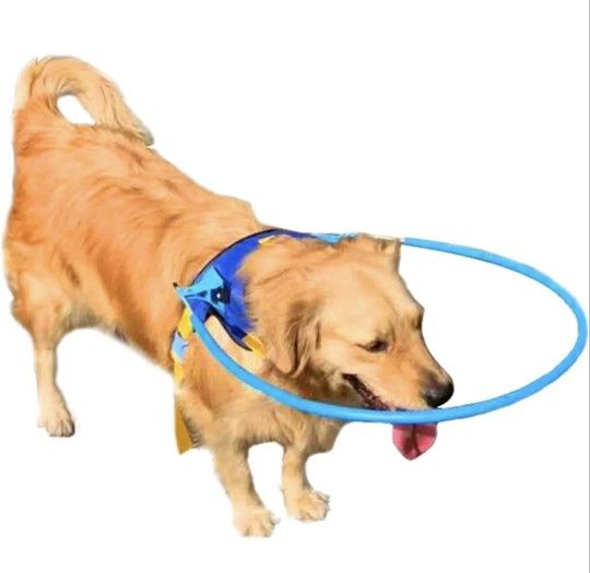 NEW Dog anti-collision collar XXS