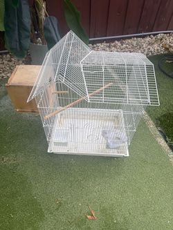 Bird cage jaula