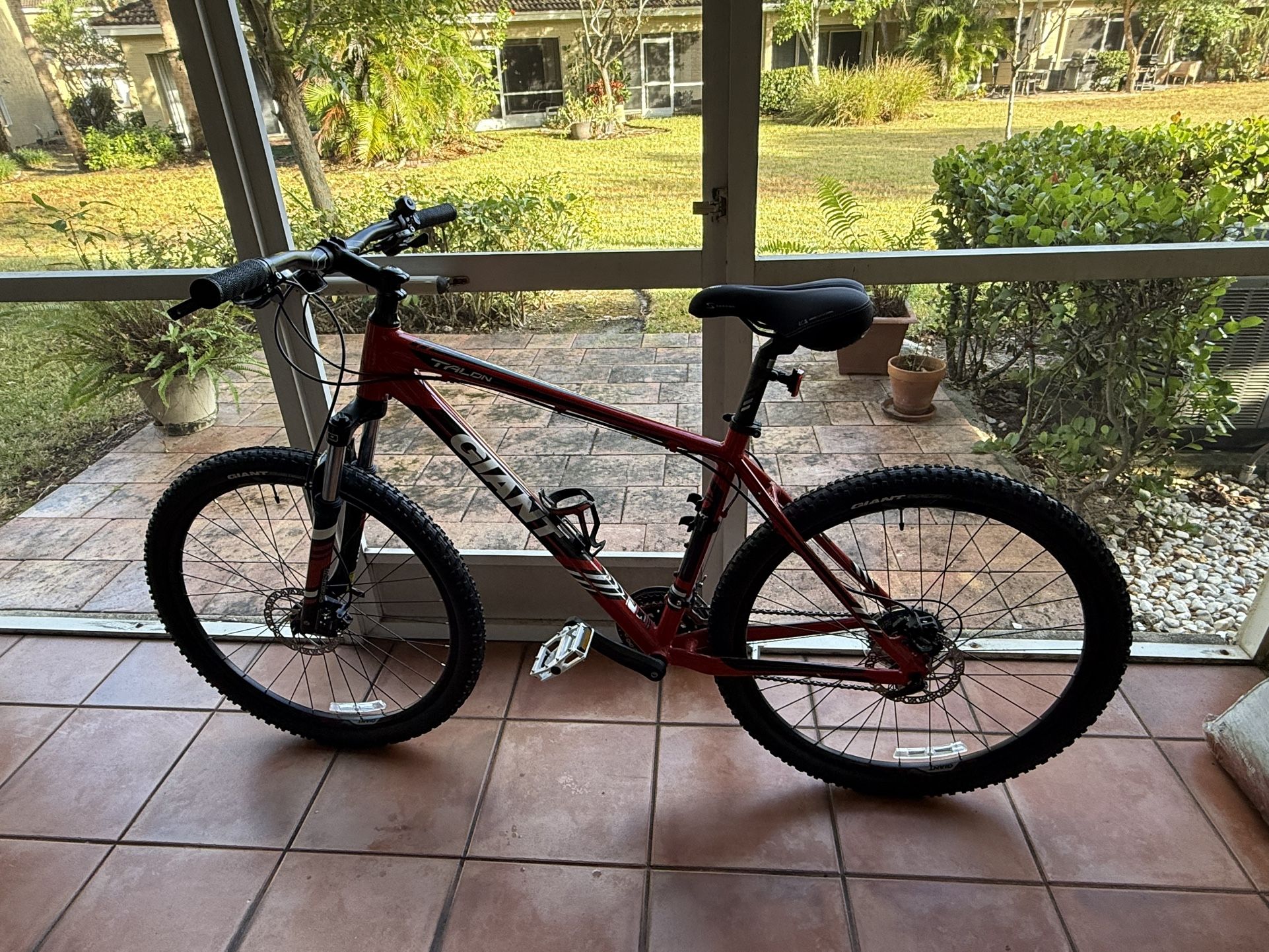 Bike (Giant - Large)