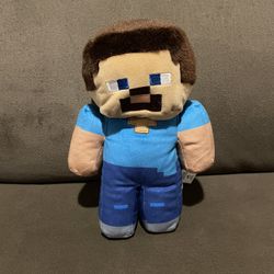 Steve From Minecraft 