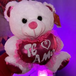 Valentine’s Day, Teddy Bear Gift