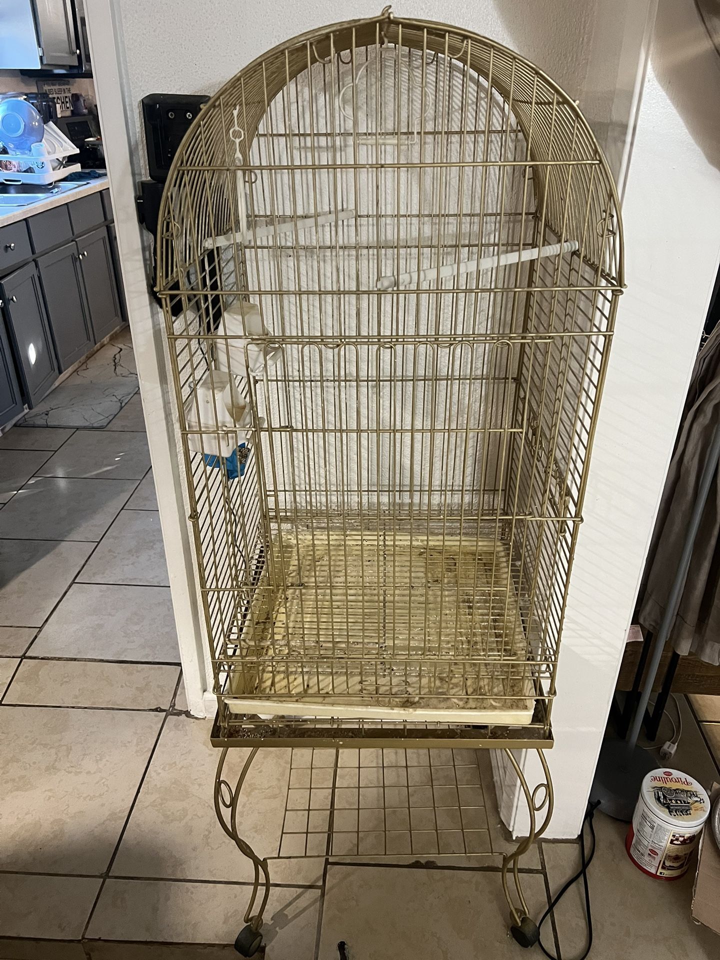 Bird Cage