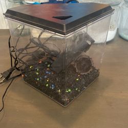 Small Fish Tank