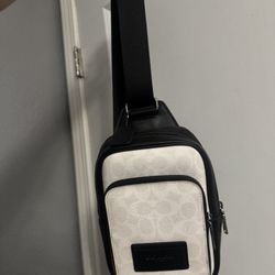 Coach Side Bag